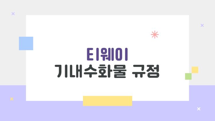 티웨이 기내수화물 규정