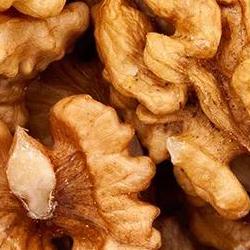 호두 효능 섭취량, 한 줌으로 뇌가 쌩쌩? 충격적인 2026 연구 결과