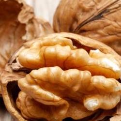 호두 효능 부작용, 뇌가 좋아진다고? 나도 3개월 도전기