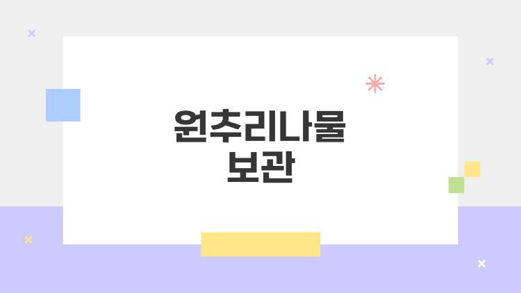 원추리나물 보관 꿀팁, 1개월 먹는 비밀