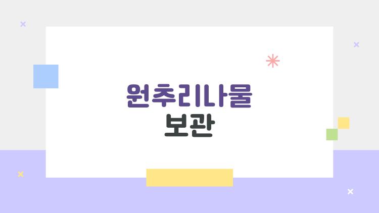 원추리나물 보관 꿀팁, 1개월 먹는 비밀