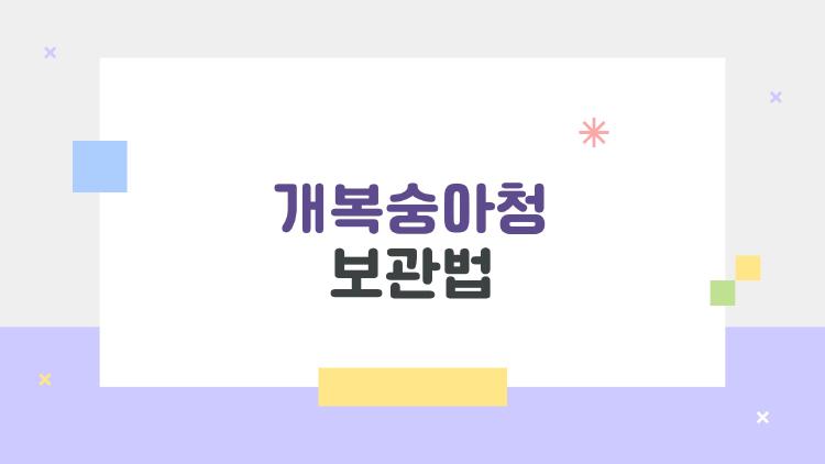 개복숭아청 보관법