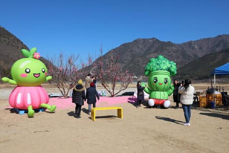 원동 미나리축제