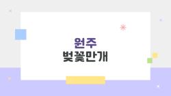 원주 벚꽃만개, 올해 진짜 4월 1일 맞춤 여행 가기 딱 좋은 날씨?