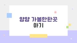 양양 가볼만한곳 아기, 2026 봄 가족 여행에 꼭 필요한 곳만 엄선했다