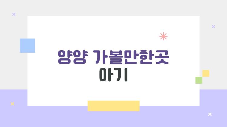양양 가볼만한곳 아기, 2026 봄 가족 여행에 꼭 필요한 곳만 엄선했다