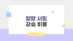 양양 서핑 강습 비용, 초보자가 울고 웃는 진짜 가격 공개!