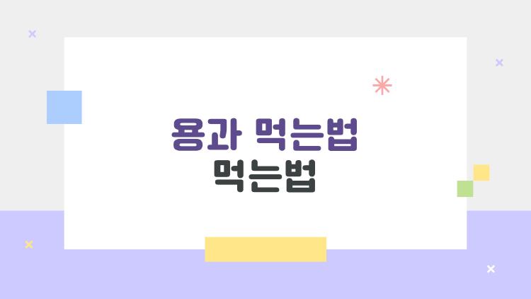 용과 먹는법 먹는법